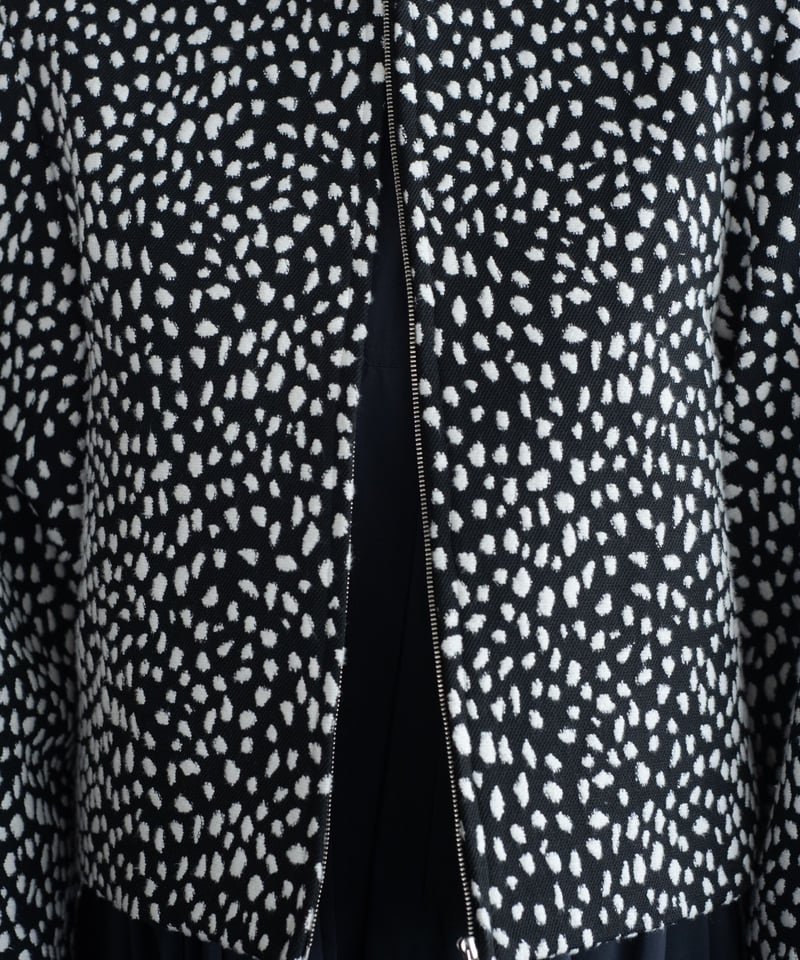 DALMATIAN | OHGA