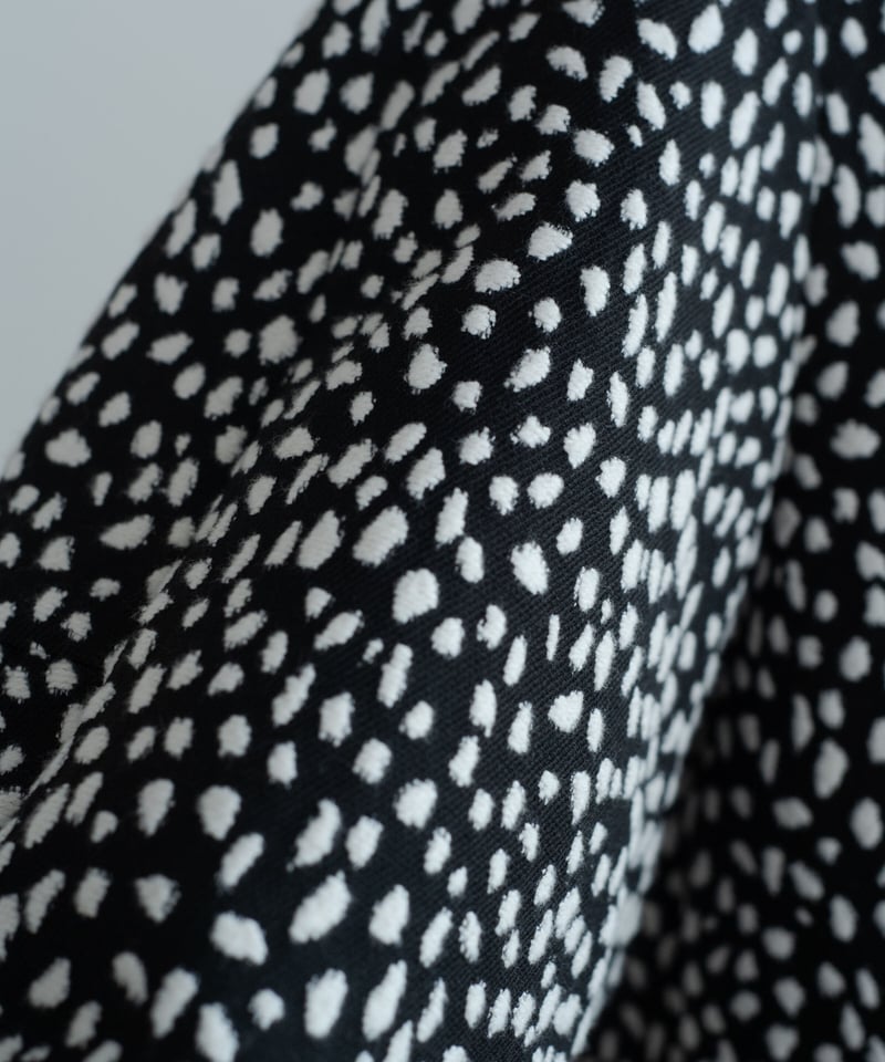 DALMATIAN | OHGA