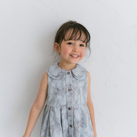 Lala dress / toile de jouy - blue