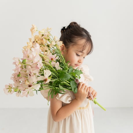 Ballerina dress / vanilla cream