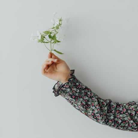 Eloise dress / Fife Berries (navy)