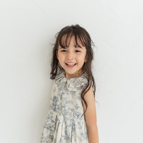 Lala dress / toile de jouy - vanilla