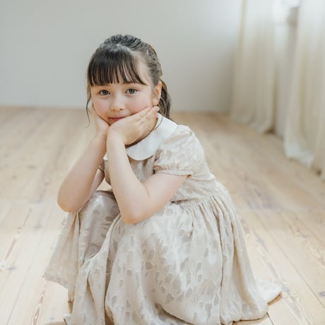 Emily dress / shell