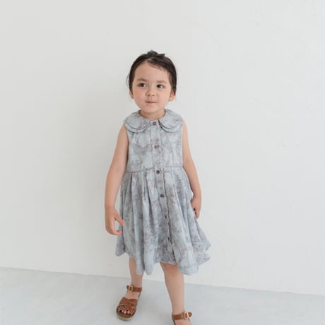 Lala dress / toile de jouy - blue