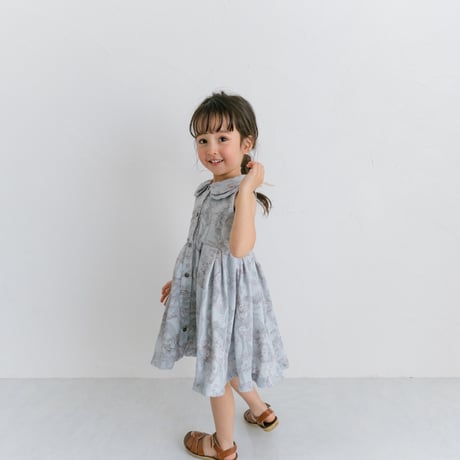 Lala dress / toile de jouy - blue