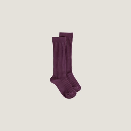 condor / Basic rib knee-high socks  2016-2