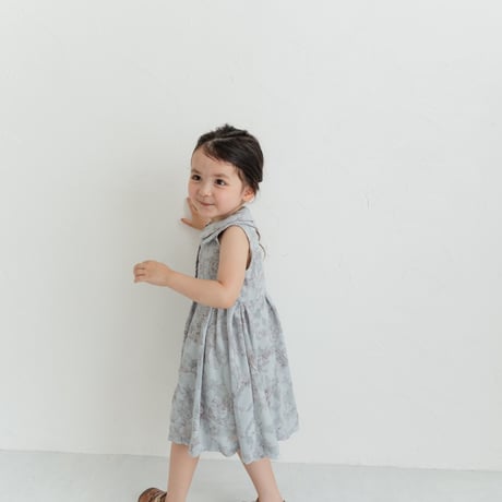 Lala dress / toile de jouy - blue