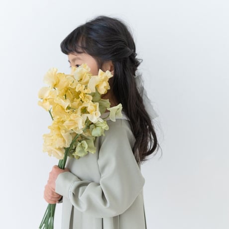 Meria dress / mint