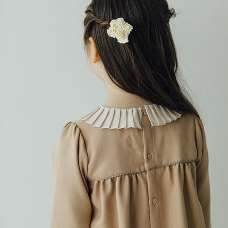 Petal / fraisier