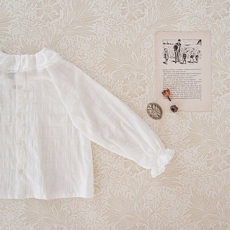 Frill collar blouse / white lace