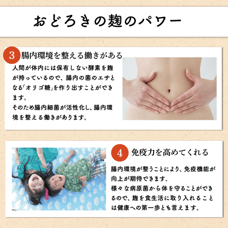 【5袋セット】はっこんぶ