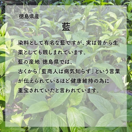 【期間限定特価】はっこんぶ-結-