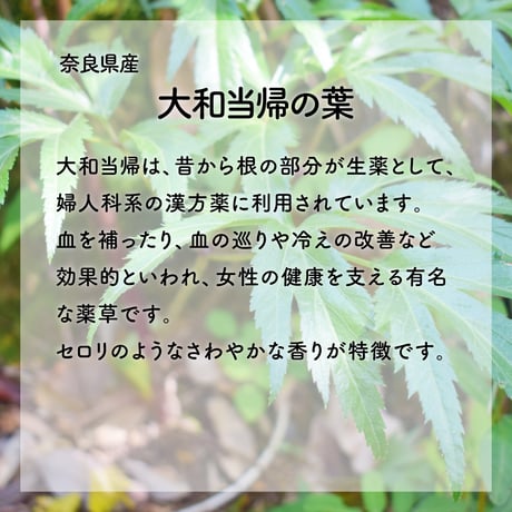 【期間限定特価】はっこんぶ-結-