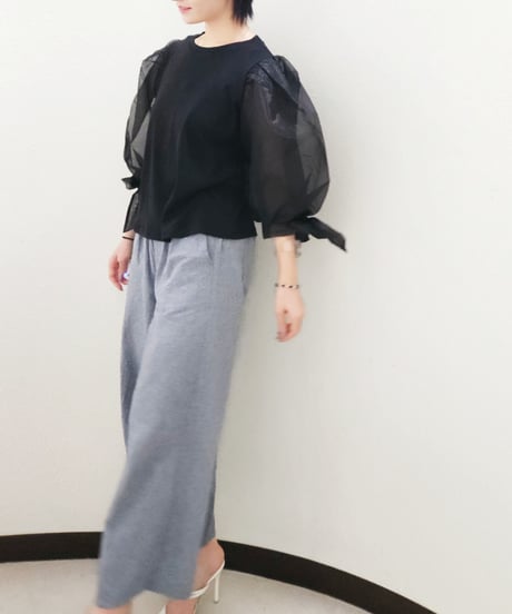 Ribbon Puff Sleeve Tops