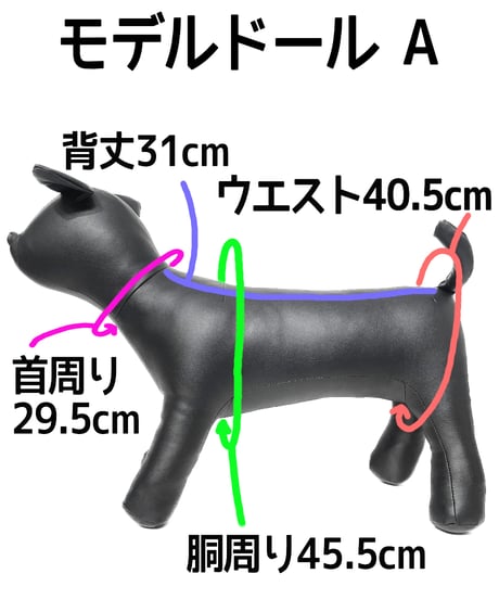 Boa DOG Wear