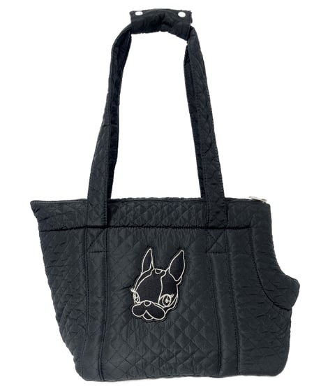 Pet Carrier Bag