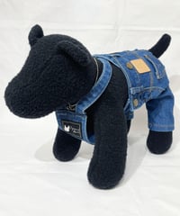 Denim DOG Wear