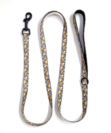 DOG harness+Belt/Ring-Gong Biscuit