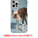 607409be935fcc53c2fa3dcd