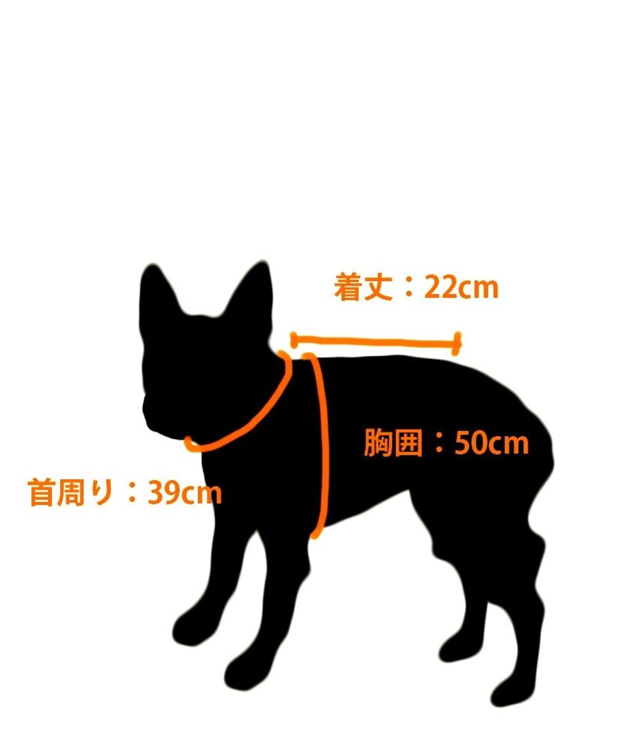 601131a64f4430568eb9ab03