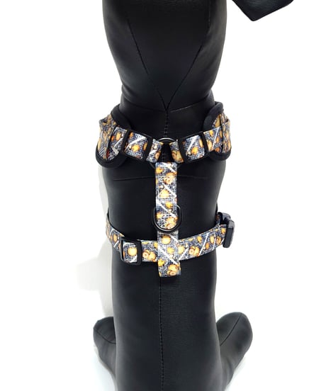 DOG harness+Belt/Ring-Gong Biscuit