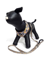 DOG harness+Belt/Ring-Gong Biscuit