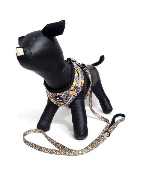 DOG harness+Belt/Ring-Gong Biscuit