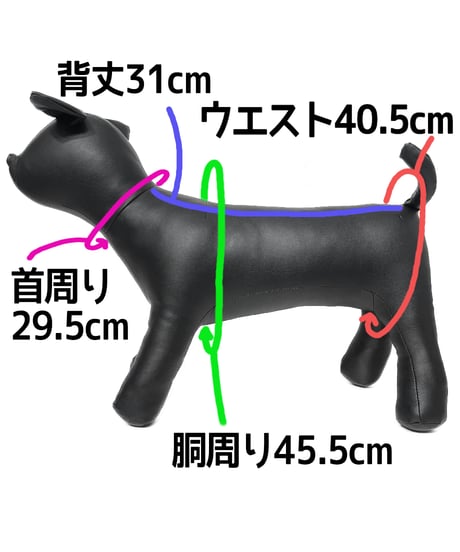 DOG harness+Belt/VROOM！