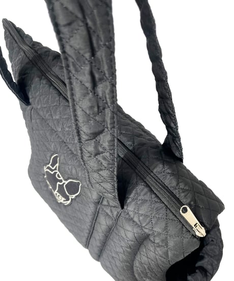 Pet Carrier Bag