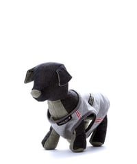 Street Wappen Doggy Wear/タンクトップ