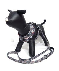DOG harness+Belt/VROOM！