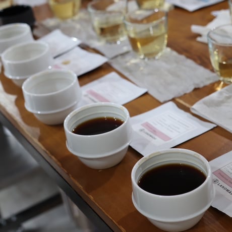 Roast Sensory Kit　定期便(毎月違う原料)