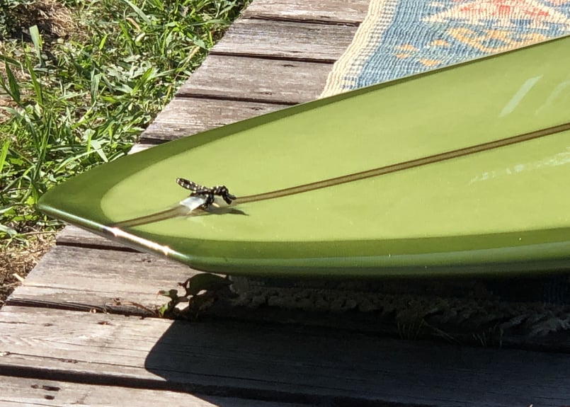 9'6 Stepdeck by Joel Tudor Surfboard | YR オンラインストア 9'6 Stepdeck by Joel Tudor Surfboard | YR オンラインストア