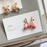 チューリップピアス、イヤリング