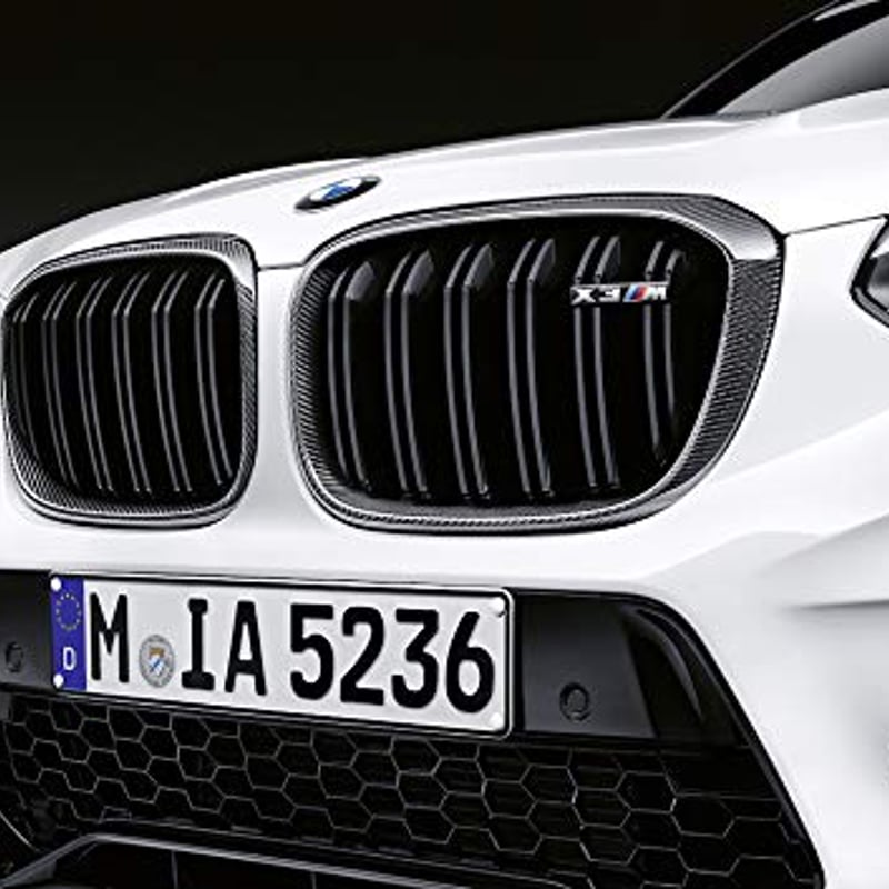 BMW X3 X4 G01 G02 前期 キドニーグリル Mルック ダブルフィン