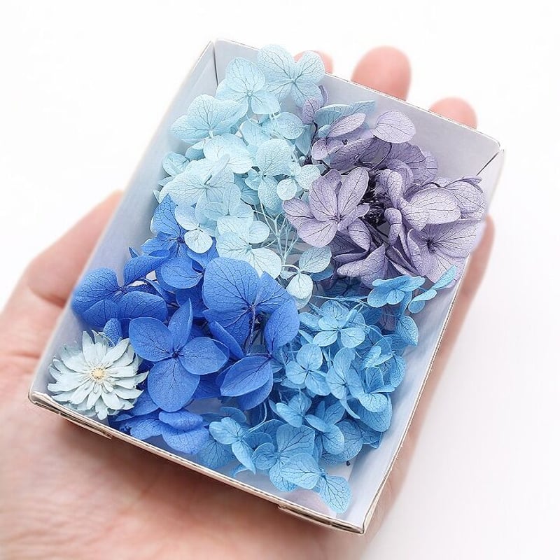 ハーバリウム花材 マーメイドブルー アジサイカルテット花材セット 1