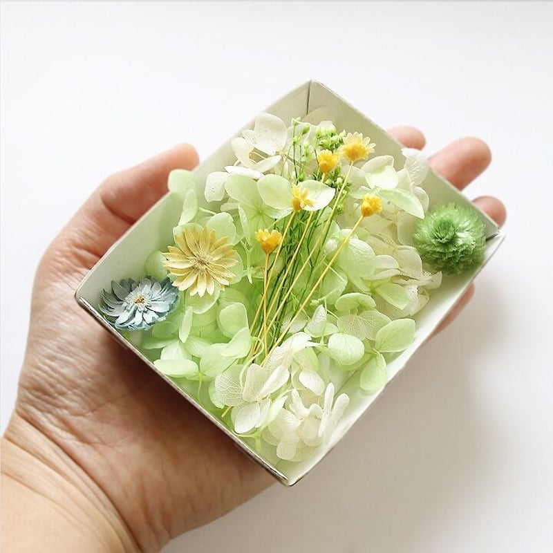 ハーバリウム花材 アップルグリーン花材セット 1ケース プリザーブド