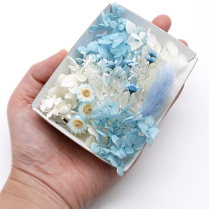 ハーバリウム花材 サムシングブルー花材セット 1ケース プリザーブド 