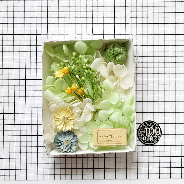 ハーバリウム花材 アップルグリーン花材セット 1ケース プリザーブド