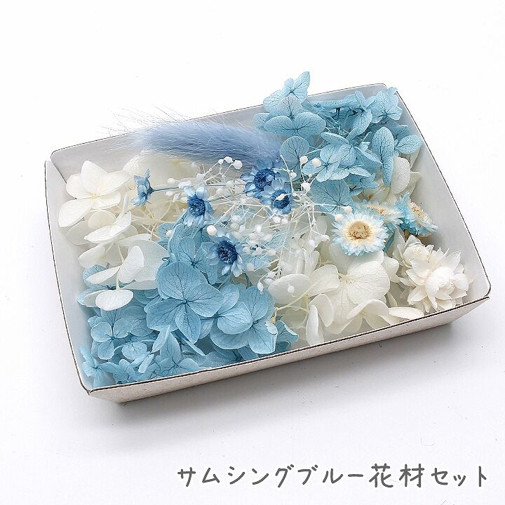 ハーバリウム花材 サムシングブルー花材セット 1ケース プリザーブド 