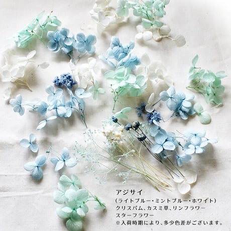ハーバリウム花材 シーブルーソーダ花材セット 1ケース プリザーブドフラワー ドライフラワー