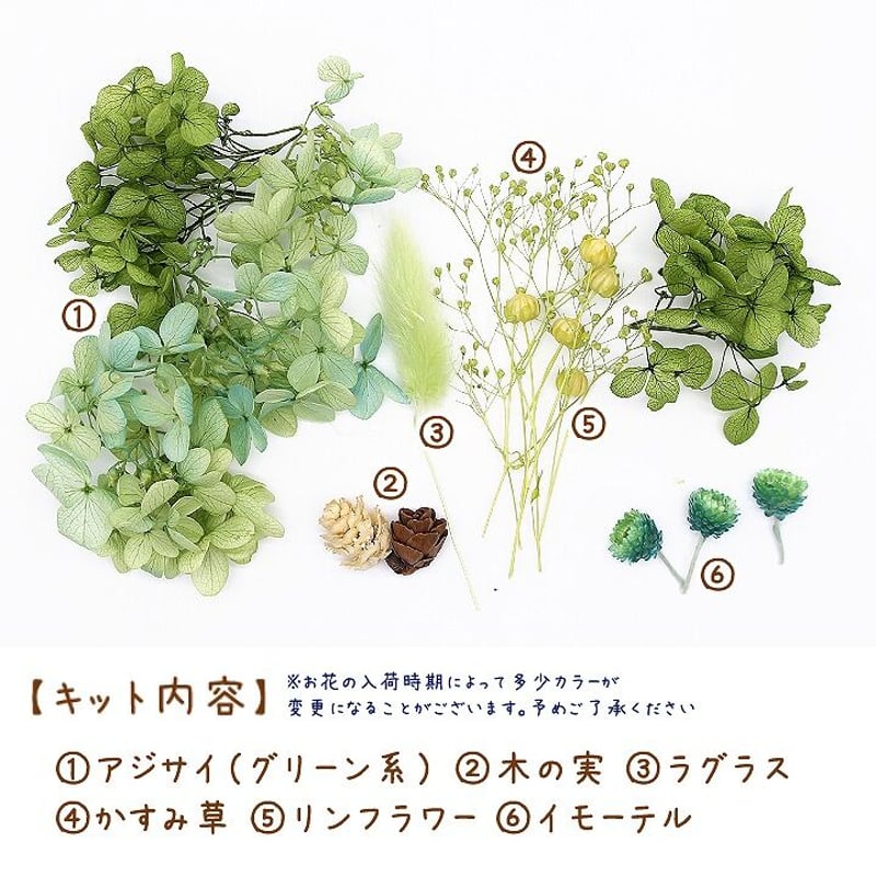 ハーバリウム花材 ガーデングリーン花材セット 1ケース プリザーブド  