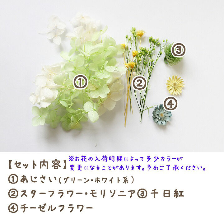 ハーバリウム花材 アップルグリーン花材セット 1ケース プリザーブド