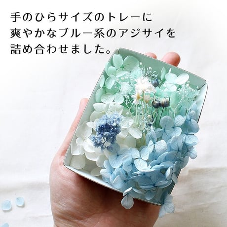 ハーバリウム花材 シーブルーソーダ花材セット 1ケース プリザーブドフラワー ドライフラワー