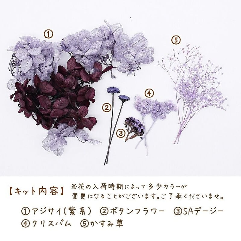 ハーバリウム花材 アメジストパープル花材セット 1ケース プリザーブド 