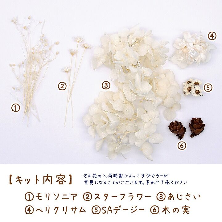 白いお花と木の実のセット 1ケース プリザーブドフラワー ドライ