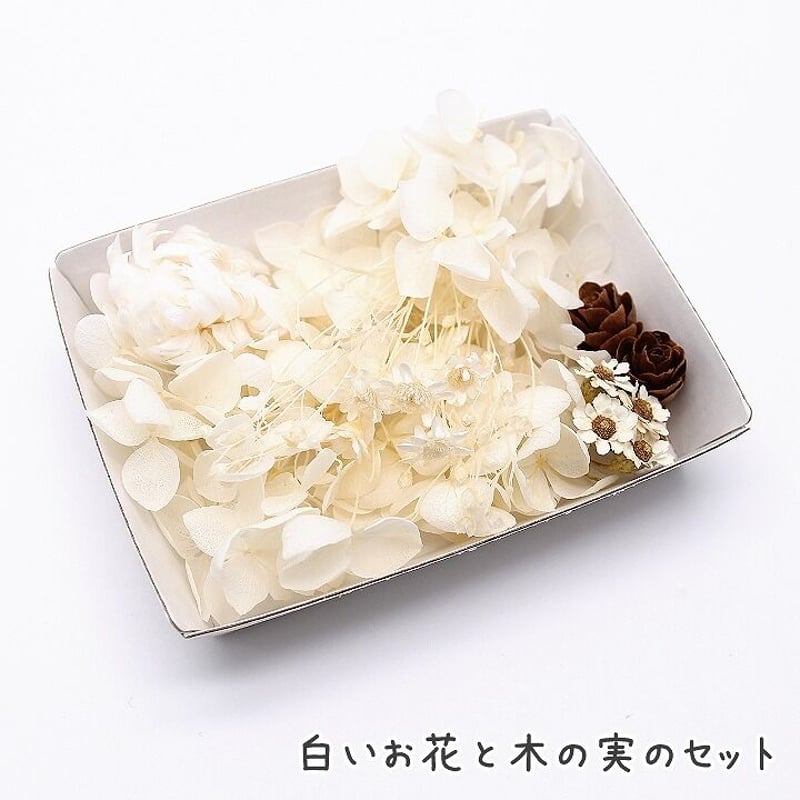 白いお花と木の実のセット 1ケース プリザーブドフラワー ドライ