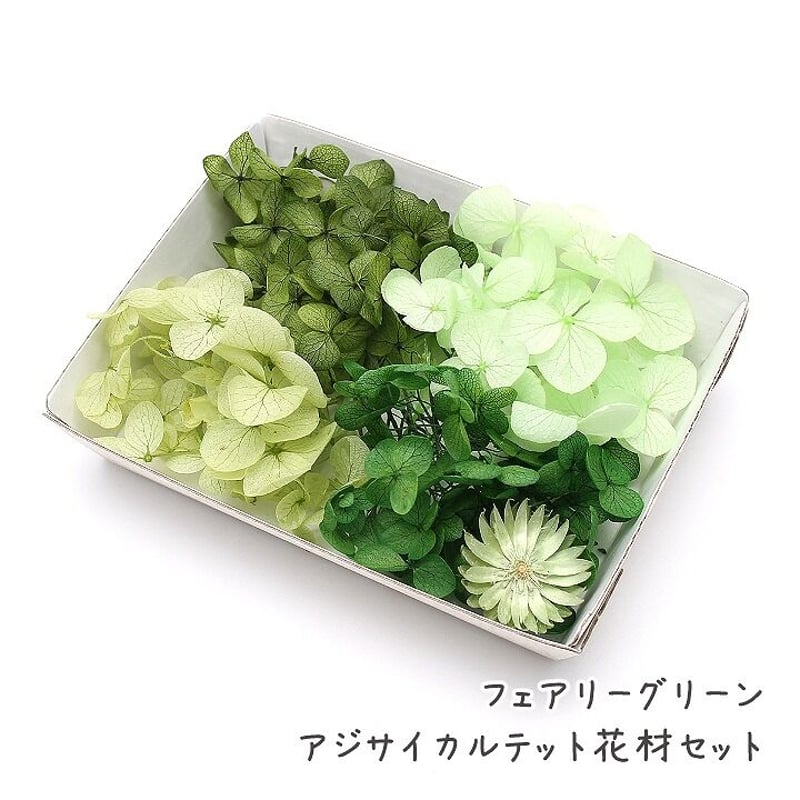 花材セット グリーン  Ｎｏ．555
