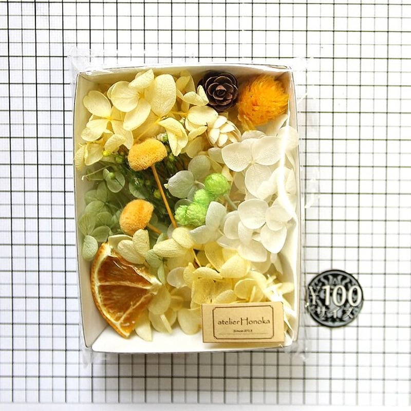 ハーバリウム花材 シトラスシャワー花材セット 1ケース プリザーブド