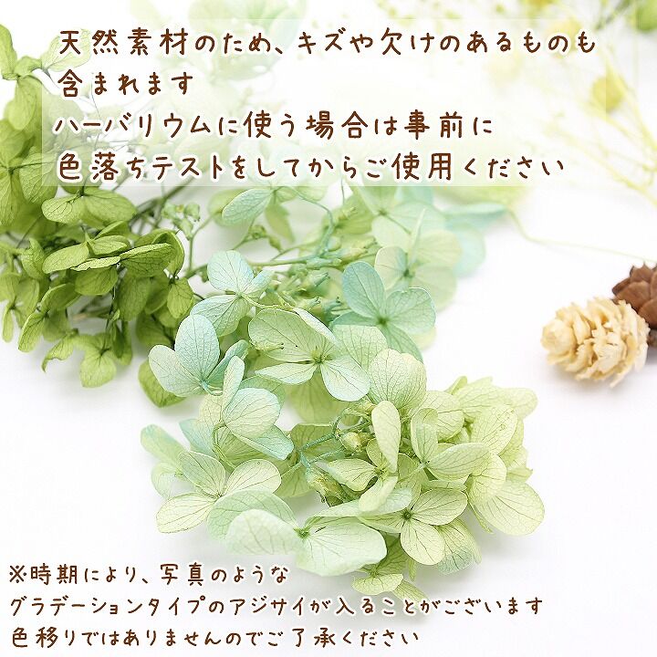 ハーバリウム花材 ガーデングリーン花材セット 1ケース プリザーブド